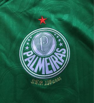Camiseta Palmeiras Puma Verde