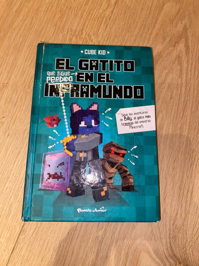 El gatito que sigue perdido en el Inframundo