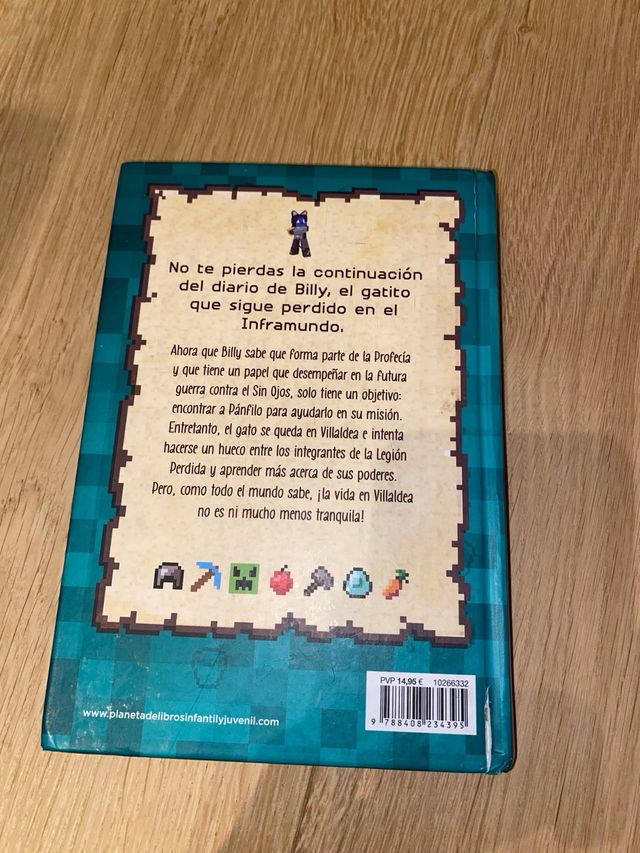 El gatito que sigue perdido en el Inframundo