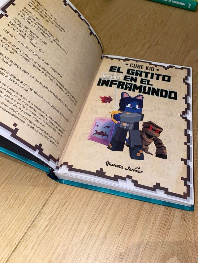 El gatito que sigue perdido en el Inframundo