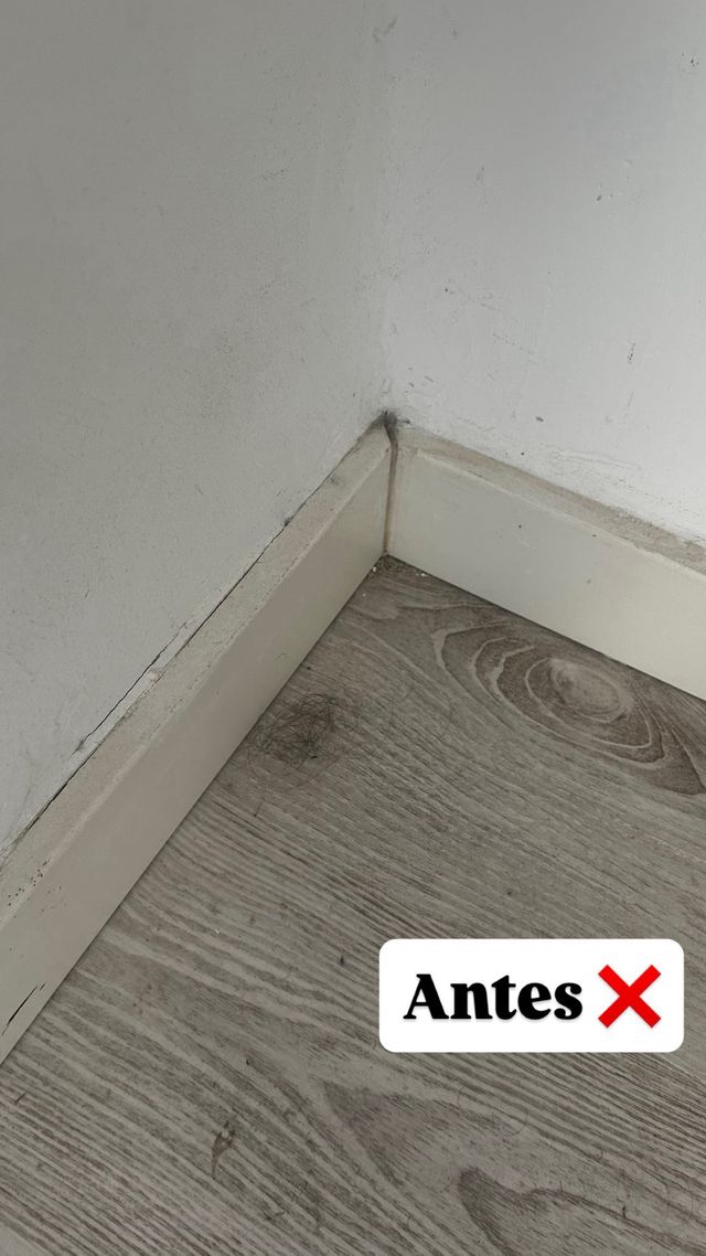 servicio de limpieza