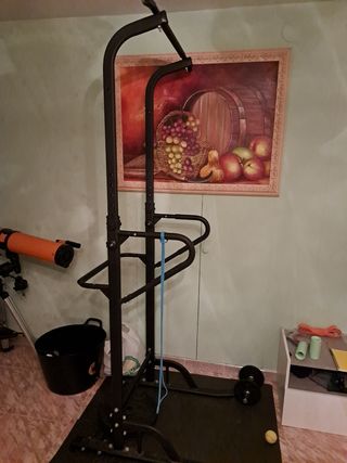 Estructura de dominadas 20kg.