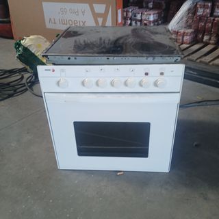 Horno con placa Fagor