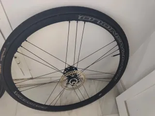 Discos de Freno Campagnolo AFS Center Lock.
