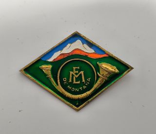Insignia Escuela Militar de Montaña