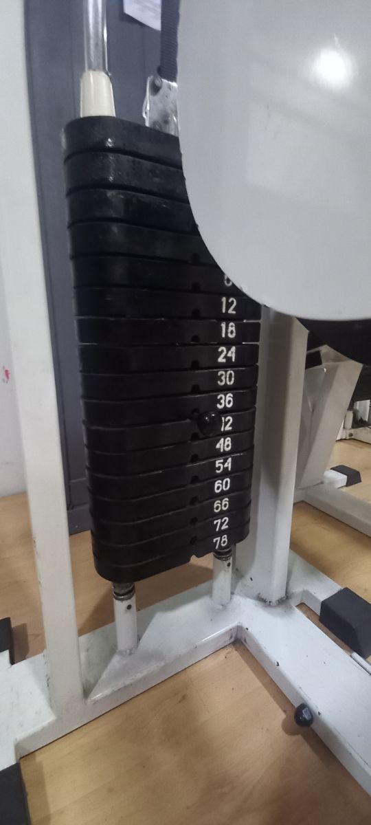 Máquina profesional femoral sentado