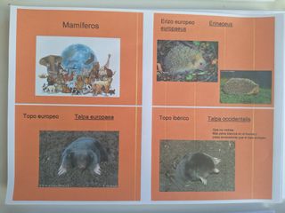 Material Completo Oposicion Biologia y Geologia 