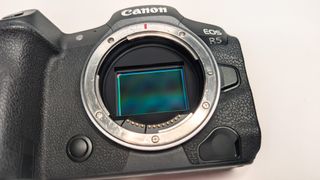 Canon EOS R5 + Grip BG-R10