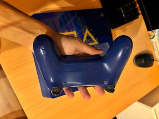 PS4 Days of Play