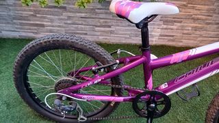 Bicicleta niña 20 aluminio