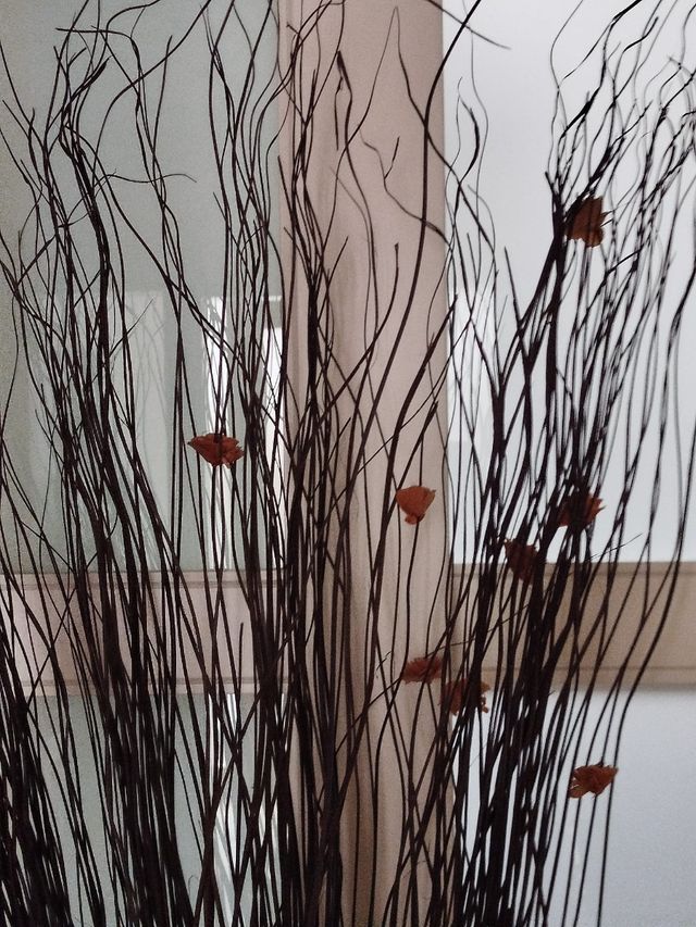 Ramo Flor Seca  Alto 160 cm .