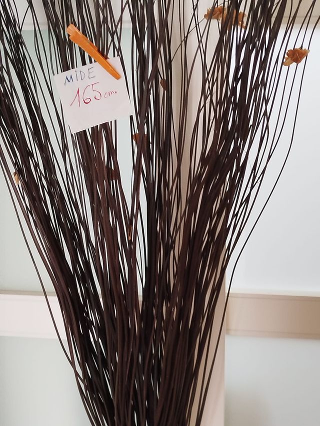 Ramo Flor Seca  Alto 160 cm .