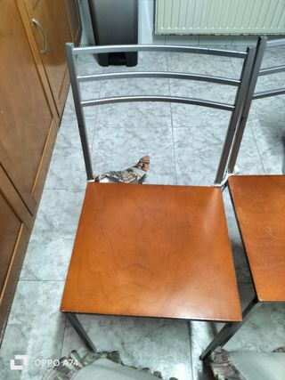 Juego de 4 sillas de comedor patchwork