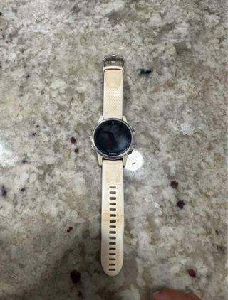 Reloj Garmin Fenix 5S Beige/Plata