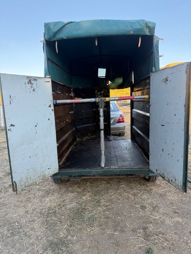 Remolque van dos caballos 
