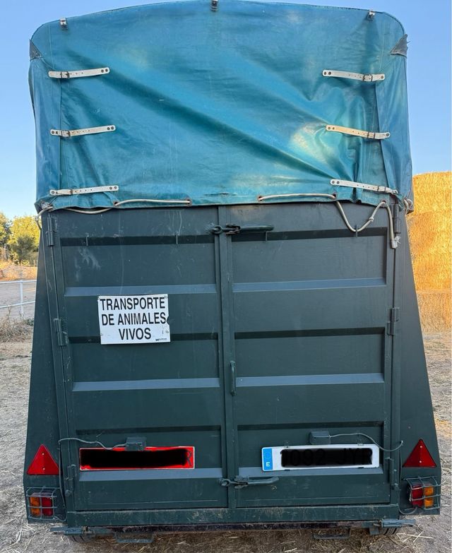 Remolque van dos caballos 