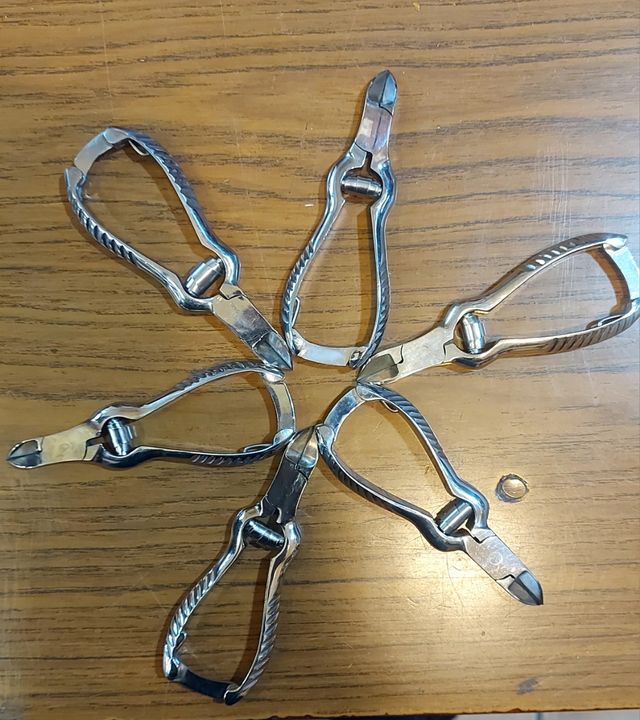 Cosmetica italiana e articoli per la persona