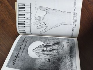 Libro El Órgano Electrónico Al Desnudo