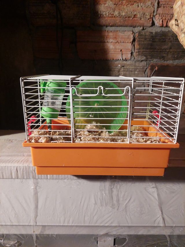 Jaula para hámster con accesorios