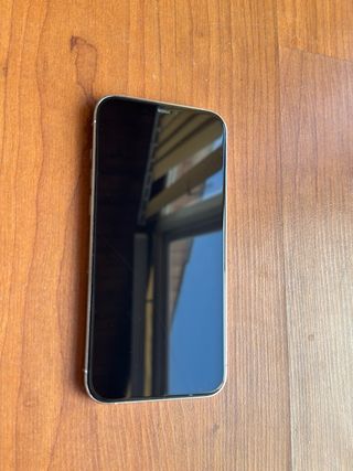 iPhone 12 Pro Max Plata