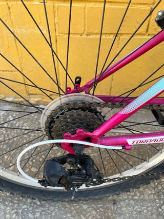 Bicicleta niña rosa y turquesa