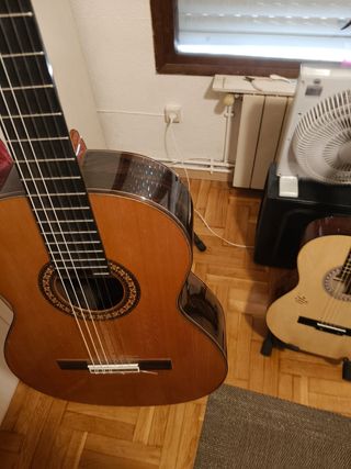 Guitarra Flamenca Española Clásica