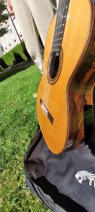 Guitarra Flamenca Española Clásica