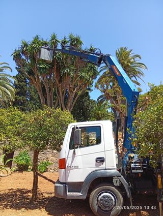 Camión Nissan Atleon 165