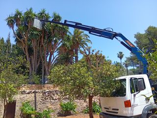 Camión Nissan Atleon 165