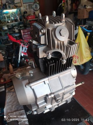 Motore Pitbike 125cc 4 Marce