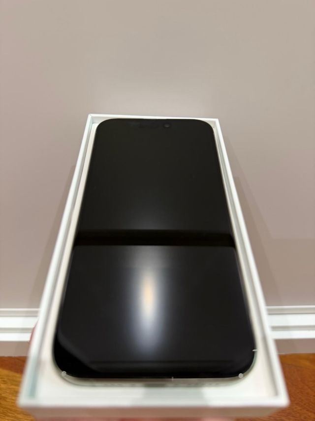 iPhone 15 Pro Gris (estado impecable) + funda