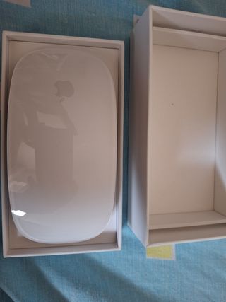 Apple Magic Mouse Plata
