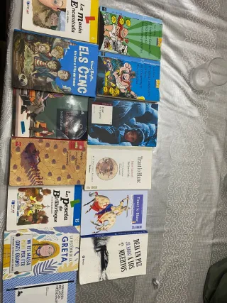Libros de lectura de Primaria y ESO