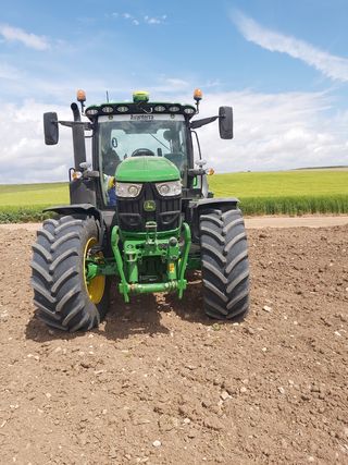 REGALO LEÑA DE ALMENDRO