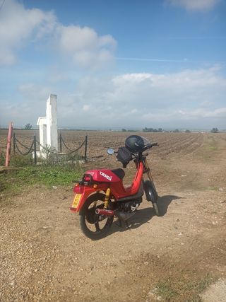 Derbi Variant Roja