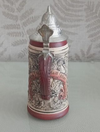 Collezione di boccali di birra tedeschi