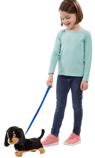 Peluche Perro Salchicha con Correa