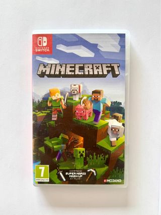 Minecraft Nintendo Switch