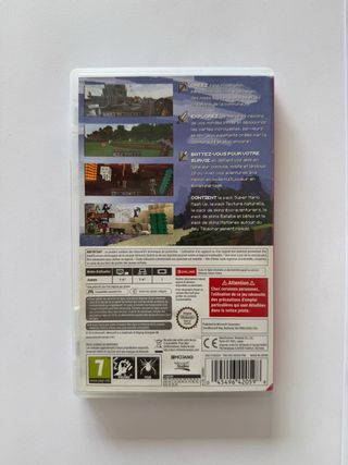 Minecraft Nintendo Switch