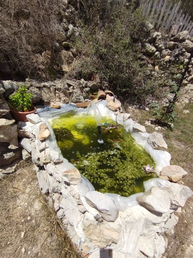 Bomba Estanque 4 en 1 con Filtro