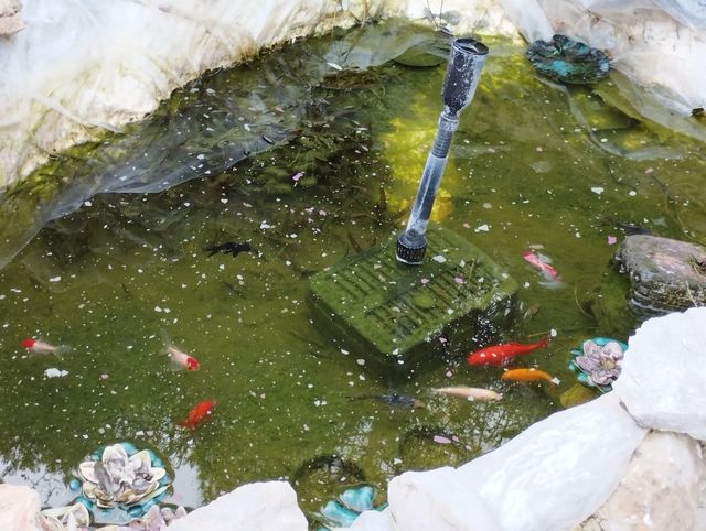 Bomba Estanque 4 en 1 con Filtro