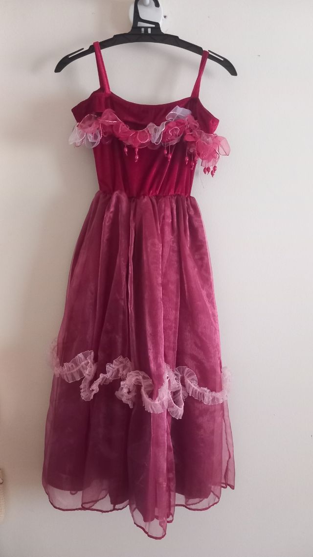 Disfraz niña terciopelo y tul