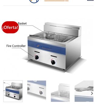 Freidora de gas con 2 cestas