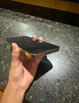 iPhone 13 Pro Max Dorado