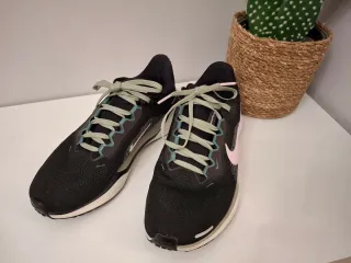 Nike Pegasus 41 Negro/Rosa