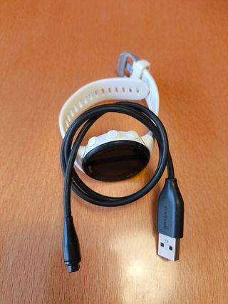 Reloj Garmin 45S Blanco
