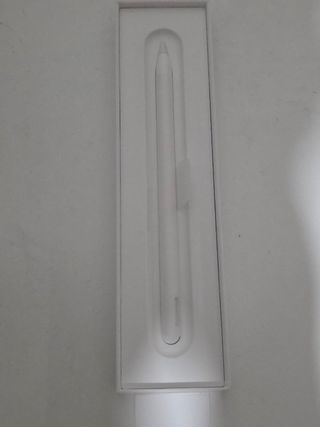Apple Pencil pro per iPad