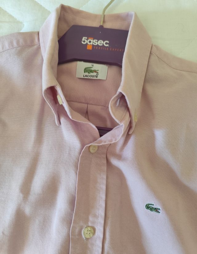 Camisa Lacoste original rosa