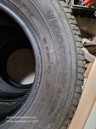 Ruedas - Neumáticos 4X4 todoterreno