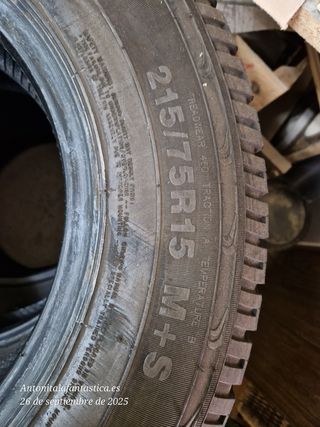 Ruedas - Neumáticos 4X4 todoterreno